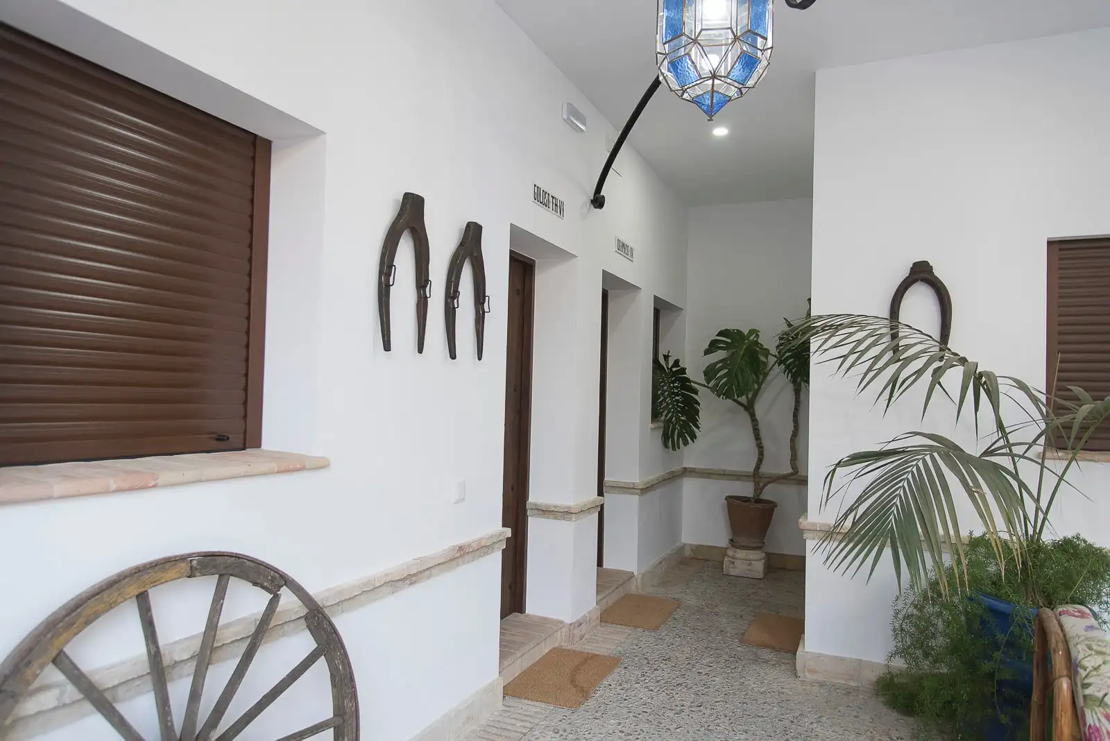 El patio de las habitaciones: paredes encaladas, una rueda de carro, aperos de caballo colgados, un farol y una palmera de interior