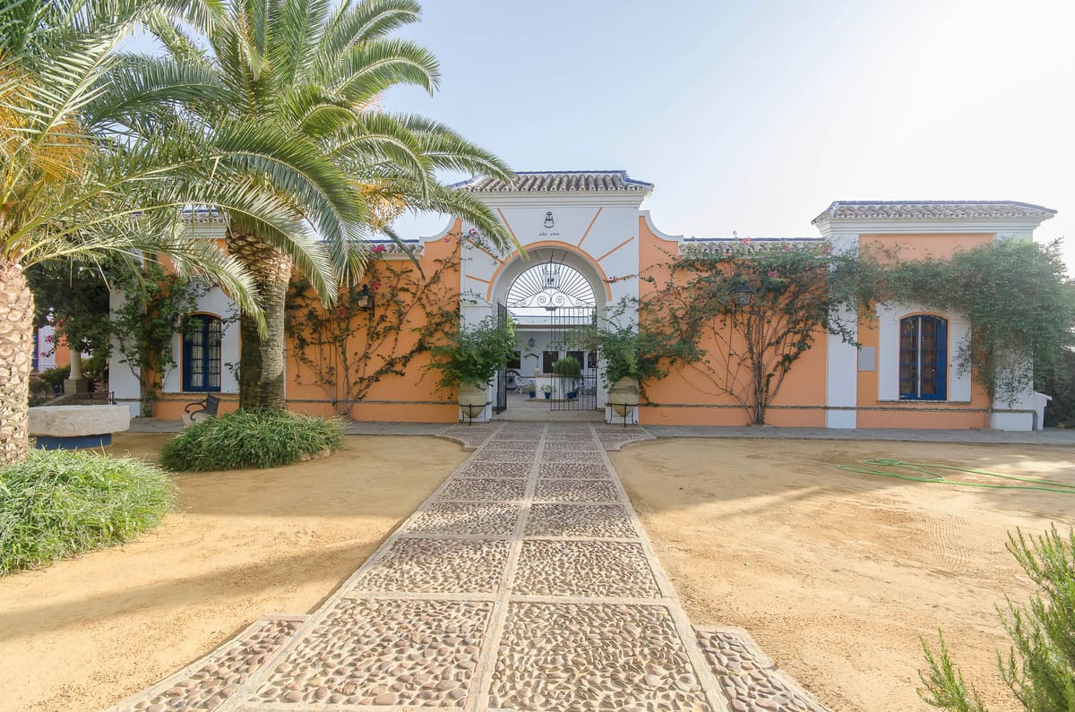 El camino empedrado hasta el arco de entrada de Hacienda Las Yeguas, entre palmeras, con la fachada color albero y las buganvillas